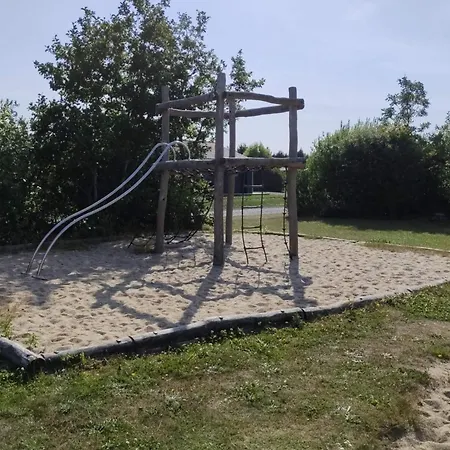 6 Person In *